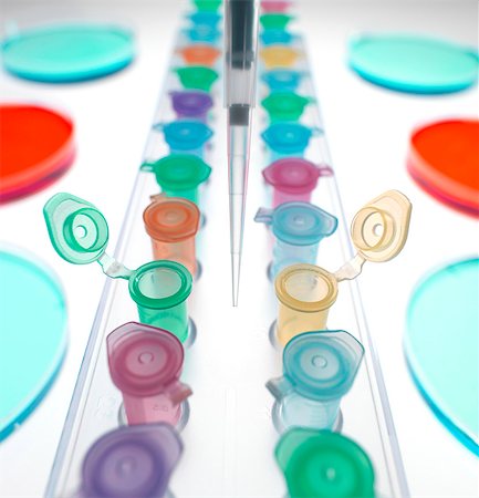 Eppendorf tubes in a row with petri dishes awaiting experiment in lab Stock Photo - Premium Royalty-Free, Code: 649-07279858