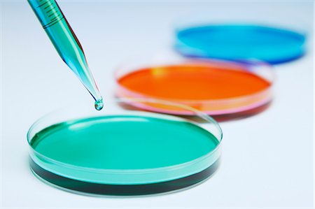 science laboratory - Pipetting coloured liquid into petri dishes Stock Photo - Premium Royalty-Free, Code: 649-07280001