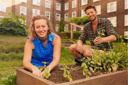 Couple planting vegetables on council estate allotment Photographie de stock - Premium Libres de Droits, Code: 649-07280538