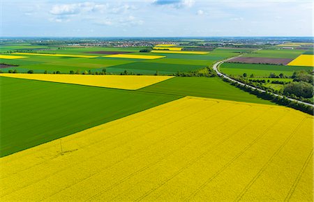 View of oil seed rape fields, Munich, Bavaria, Germany Photographie de stock - Premium Libres de Droits, Code: 649-07280984