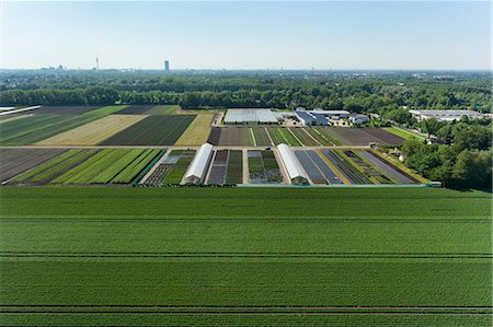 field aerial photos - View of agriculture and greenhouses, Munich, Bavaria, Germany Stock Photo - Premium Royalty-Free, Code: 649-07280992