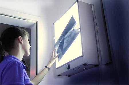 photograph woman and skeleton - Vet looking at xray Stock Photo - Premium Royalty-Free, Code: 649-07436448