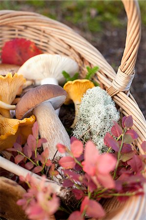 Basket of mushrooms and autumnal leaves Fotografie stock - Premium Royalty-Free, Codice: 649-07437094