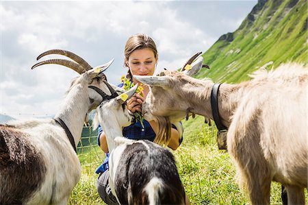 drei tiere - Mid adult woman with goats, Tyrol, Austria Photographie de stock - Premium Libres de Droits, Code: 649-07437552