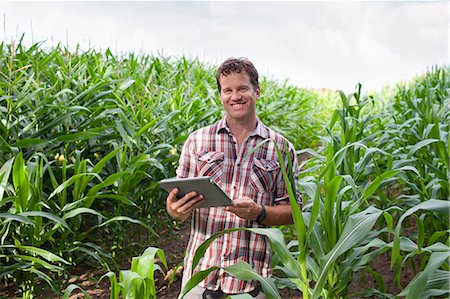 farmer with computer - Farmer standing in field of crops using digital tablet Photographie de stock - Premium Libres de Droits, Code: 649-07437977