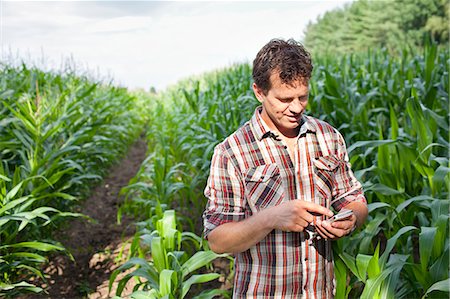 Farmer standing in field of crops using smartphone Stock Photo - Premium Royalty-Free, Code: 649-07437979