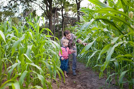 flèche - Farmer and son in field of crops Photographie de stock - Premium Libres de Droits, Code: 649-07437981