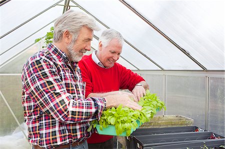 Senior male friends in greenhouse holding plants Stock Photo - Premium Royalty-Free, Code: 649-07438092
