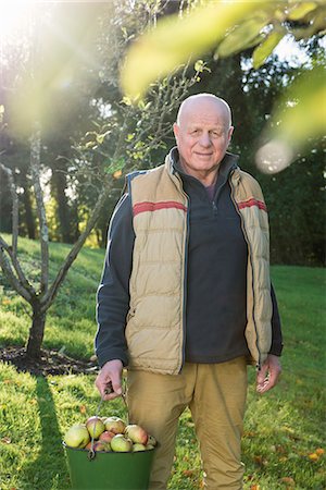 seniors - Senior man carrying bucket of apples Stock Photo - Premium Royalty-Free, Code: 649-07520195