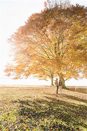 simsearch:649-07521098,k - Couple standing by tree in autumn Foto de stock - Sin royalties Premium, Código: 649-07521110