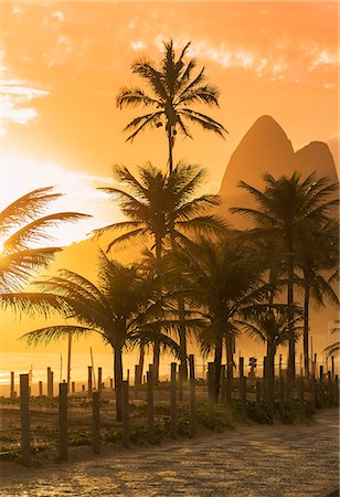 sun flare gold - Palm trees at sunset on Ipanema beach, Rio De Janeiro, Brazil Stock Photo - Premium Royalty-Free, Code: 649-07521147