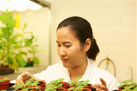 Female scientist monitoring plant samples in lab Foto de stock - Sin royalties Premium, Código: 649-07559960