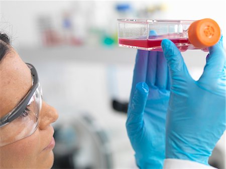 Close up of female cell biologist holding a flask containing stem cells, cultivated in red growth medium, to investigate disease Foto de stock - Sin royalties Premium, Código: 649-07585092