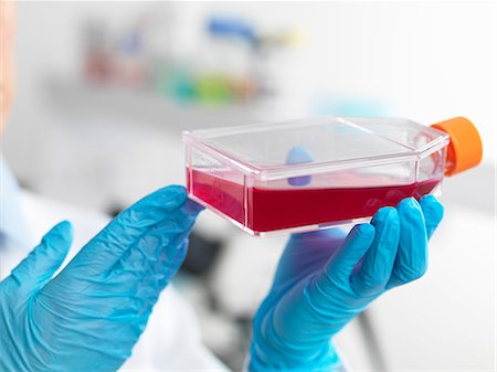 Hands of cell biologist holding a flask containing stem cells, cultivated in red growth medium, to investigate disease Stock Photo - Premium Royalty-Free, Code: 649-07585093