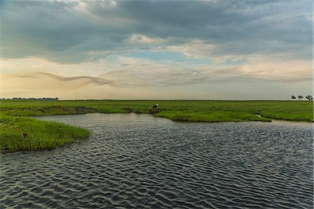 simsearch:649-08085924,k - Water and grassland, Kasane, Chobe National Park, Botswana, Africa Photographie de stock - Premium Libres de Droits, Code: 649-07596639