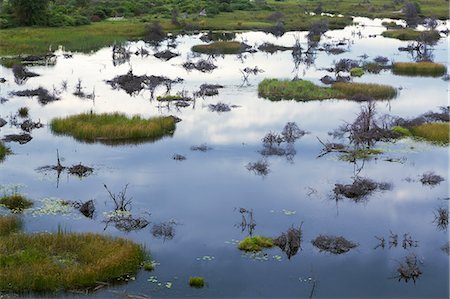 delta d'okavango - Okavango Delta, Chobe National Park, Botswana, Africa Photographie de stock - Premium Libres de Droits, Code: 649-07596633