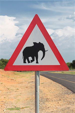 pachyderm - Elephant warning sign, Kasane, Chobe National Park, Botswana, Africa Foto de stock - Sin royalties Premium, Código: 649-07596645