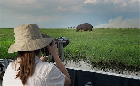 Woman photographing Hippopotamus from safari truck, Kasane, Chobe National Park, Botswana, Africa Stock Photo - Premium Royalty-Free, Code: 649-07596648