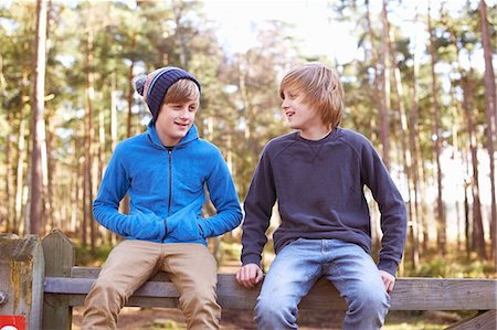 simsearch:649-07063009,k - Twin brothers sitting on gate in forest Stock Photo - Premium Royalty-Free, Code: 649-07596719