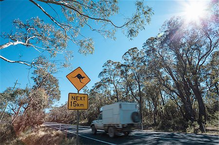 Kangaroo warning roadsign, New South Wales, Australia Stockbilder - Premium RF Lizenzfrei, Bildnummer: 649-07648228
