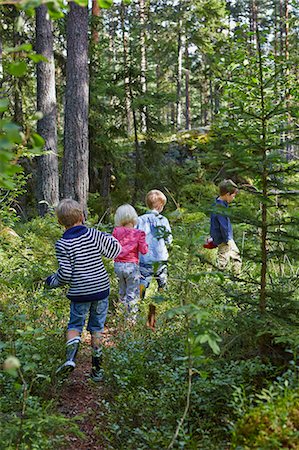 simsearch:649-07520257,k - Four young children wandering in forest Photographie de stock - Premium Libres de Droits, Code: 649-07648408