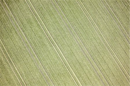 Aerial view of field landscape Stock Photo - Premium Royalty-Free, Code: 649-07648671