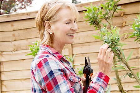 potare - Mature woman pruning tree in garden Photographie de stock - Premium Libres de Droits, Code: 649-07710278