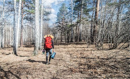 simsearch:649-07063059,k - Rear view of young male hiker with backpack in forest Stock Photo - Premium Royalty-Free, Code: 649-07736645