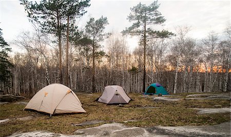 simsearch:649-09149073,k - Three pitched tents in forest clearing Stock Photo - Premium Royalty-Free, Code: 649-07736815