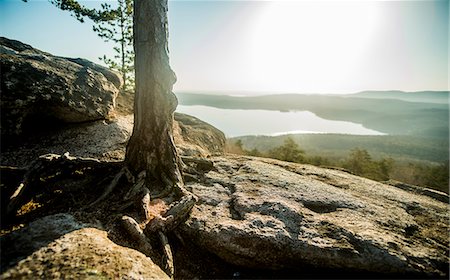 simsearch:649-07647938,k - Tree on rock formation with view of distant lake Photographie de stock - Premium Libres de Droits, Code: 649-07736819