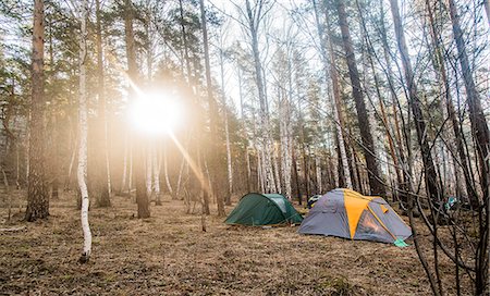 Two pitched tents in forest clearing Photographie de stock - Premium Libres de Droits, Code: 649-07736821