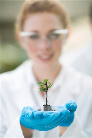 Portrait of female scientist holding up plant sample in poly tunnel Foto de stock - Sin royalties Premium, Código: 649-07761195