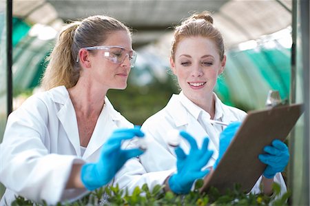 Female scientists monitoring plant samples and recording data Foto de stock - Sin royalties Premium, Código: 649-07761200