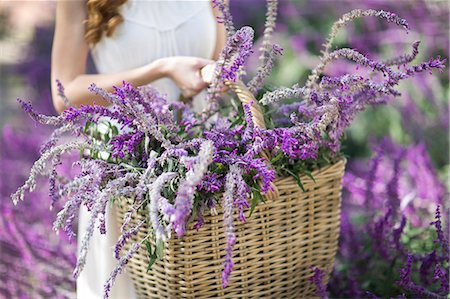 Cropped shot of young woman in garden carrying basket of purple flowers Foto de stock - Sin royalties Premium, Código: 649-07761215