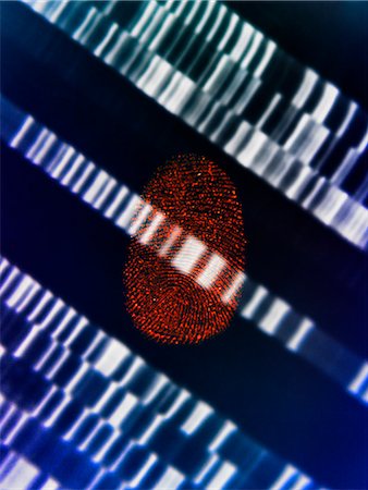 purple science - Human fingerprint placed on DNA gel illustrating genetic engineering Stock Photo - Premium Royalty-Free, Code: 649-07804026