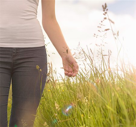 Young woman running hand through long grass in meadow under bright sunshine, close up Stock Photo - Premium Royalty-Free, Code: 649-07804390