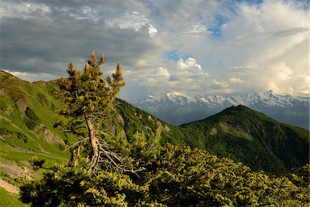 simsearch:649-07804952,k - Trees and mountains, Svaneti, Georgia Stockbilder - Premium RF Lizenzfrei, Bildnummer: 649-07804962
