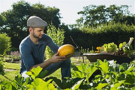 Gardener checking vegetable Photographie de stock - Premium Libres de Droits, Code: 649-07803539