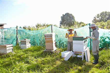 Two female beekeepers working on city allotment Fotografie stock - Premium Royalty-Free, Codice: 649-07803949