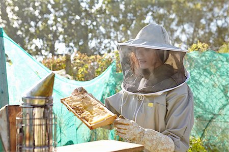 Female beekeeper looking at honeycomb tray on city allotment Fotografie stock - Premium Royalty-Free, Codice: 649-07803950