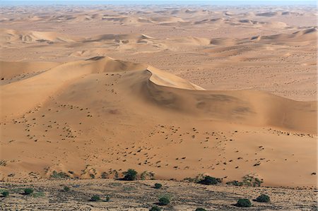 simsearch:851-02962314,k - Aerial view of desert sand dunes, Namib Desert, Namibia Foto de stock - Sin royalties Premium, Código: 649-07905394