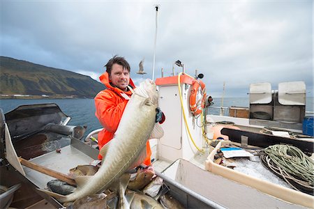 fishing catching - Fisherman holding freshly caught cod on fishing boat Stock Photo - Premium Royalty-Free, Code: 649-08004142