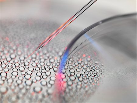 Stem cell research, nuclear transfer of embryonic stem cells from petri dish used in cloning for medical research Foto de stock - Sin royalties Premium, Código: 649-08060588