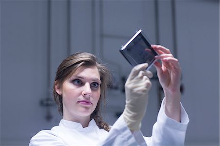 scanning electron micrograph - Young female scientist examining microscopy slide in lab Foto de stock - Sin royalties Premium, Código: 649-08085218