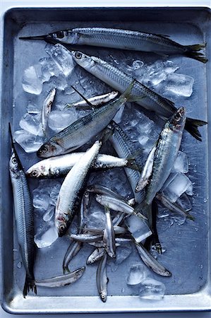 fish ice - Small fish in ice tray Stock Photo - Premium Royalty-Free, Code: 649-08085279