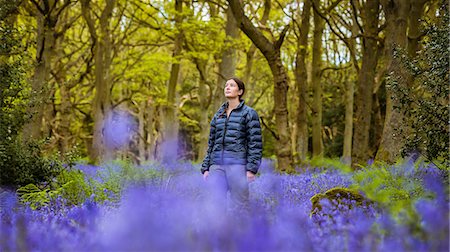 Young woman gazing up from bluebells woods, Pateley Bridge, Nidderdale, Yorkshire Dales Stock Photo - Premium Royalty-Free, Code: 649-08085328