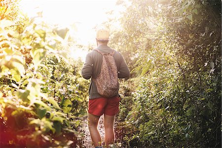 Rear view of young man hiking in rain forest at Lake Atitlan, Guatemala Foto de stock - Sin royalties Premium, Código: 649-08085494