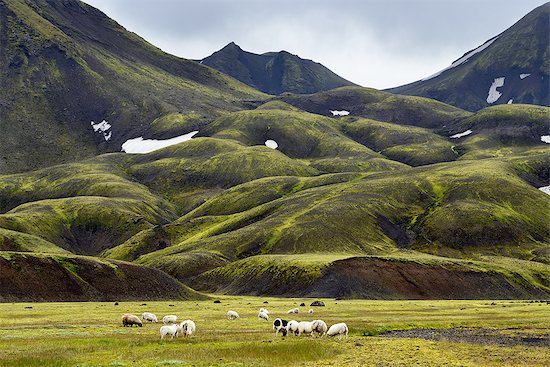 Landmannalaugar, Highlands of Iceland Photographie de stock - Premium Libres de Droits, Le code de l’image : 649-08085917