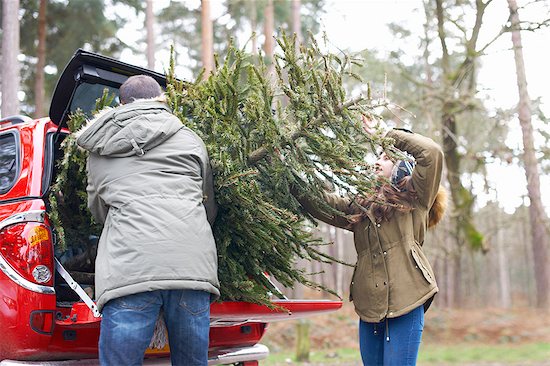 Young couple lifting Christmas tree into car boot Photographie de stock - Premium Libres de Droits, Le code de l’image : 649-08086301