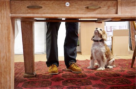 dog at table - Mans legs and dog looking up in picture framers workshop Stock Photo - Premium Royalty-Free, Code: 649-08086948